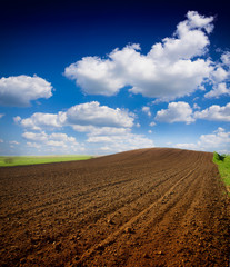 Fototapeta na wymiar Beautiful spring landscape with plowed field under blue sky with clouds