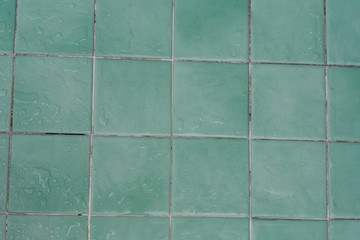 Wet green tile