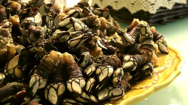 Goose Barnacles on Dish