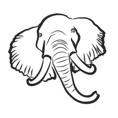 Sketch of elephant. 