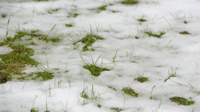Timelapse video of snow melting revealing green grass.