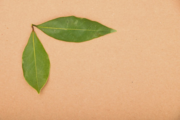 Two bay leaves on kraft paper