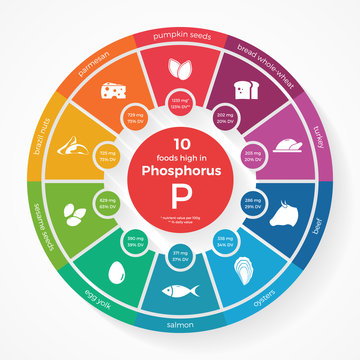 10 foods high in Phosphorus. Nutrition infographics. Healthy lifestyle and diet vector illustration with food icons.