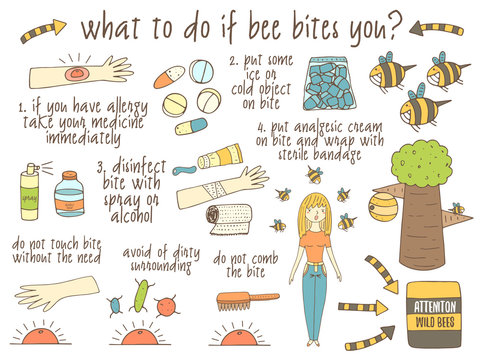 Infographic about what to do if bee bites you. 