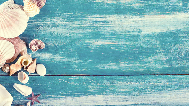 shells on the old blue wooden boards.  marine still life.time to rest,  concept of vacation, relaxation, technology