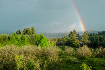Country Rainbow / A rainbow stretches across a blue sky and touches earth near a farm house and meadow.