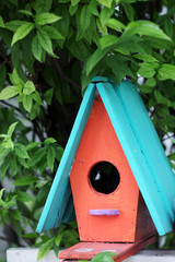 colorful bird house