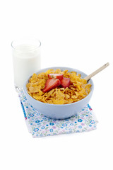 bowl of cereals and milk