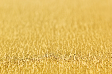 Abstract gold background with blur. The texture.
