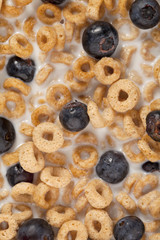 cereal and blueberries with milk