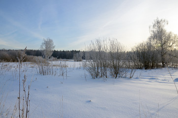 Winter scene