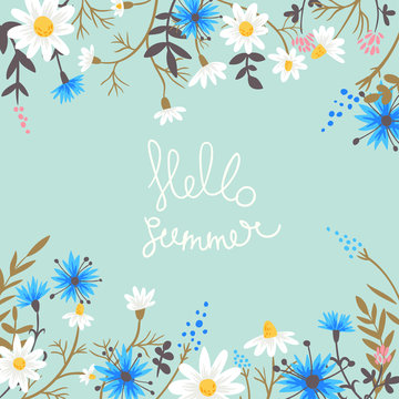 Fototapeta Hello summer. vector background with hand drawn meadow flowers