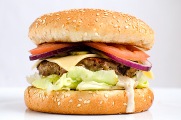 Burger full face with vegetables, spices and fries