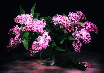 Still life lilac on dark background.