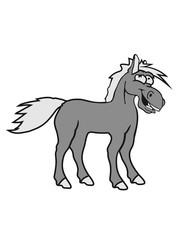 funny silly crazy comic cartoon horse laugh silly stallion donkey
