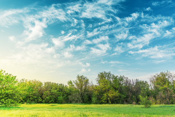 sunset over green meadow and trees in cloudy sky