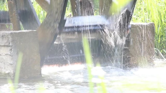 Rotating millwheel by a flowing creek. 