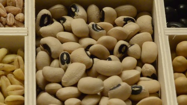 Vigna unguiculata Cowpea Augenbohne Fagiolo Caup&iacute; לוביה con Carilla 동부 식물 l'occhio Jud&iacute;a de careta dolico Wspięga wężowata dall'occhio Коровий горох 豇豆 nero