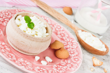 Fresh dairy products cottage cheese, yogurt