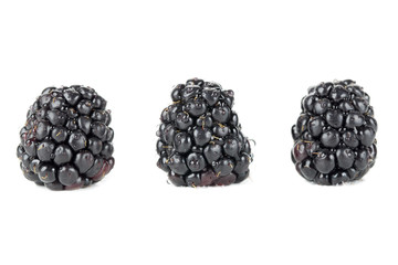 three blackberry fruits