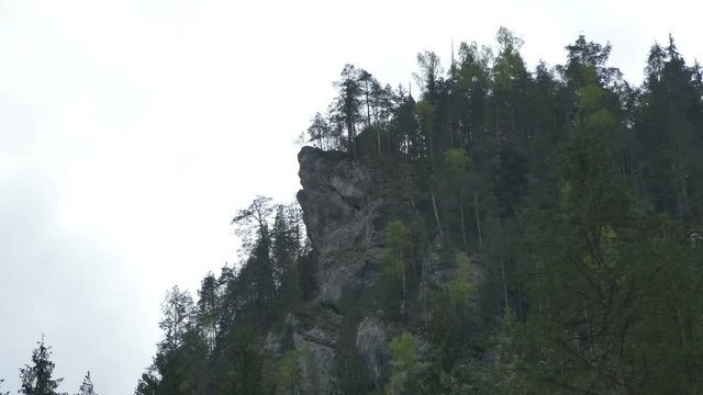 Timelapse on a mountain crag with fir trees gown on top.