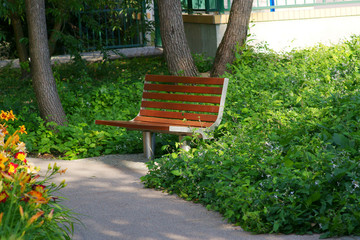 Clematis Praecox as  groundcover and bench in the park