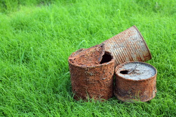 rusty can on young grass.