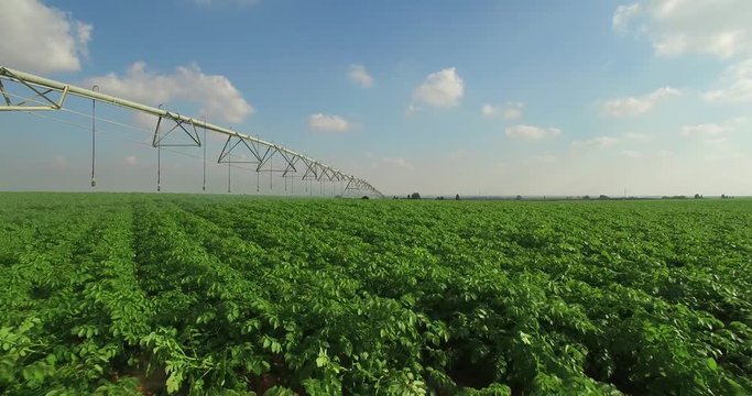  agriculture - sprinklers, Irrigation green field