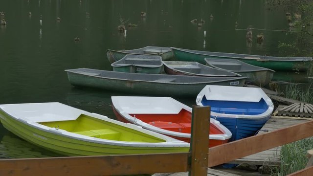 Color boats gentle waving on the dock of a pond.