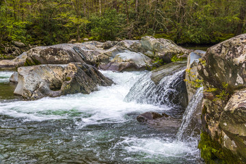 Naklejka na ściany i meble Forest creek with waterfalls.