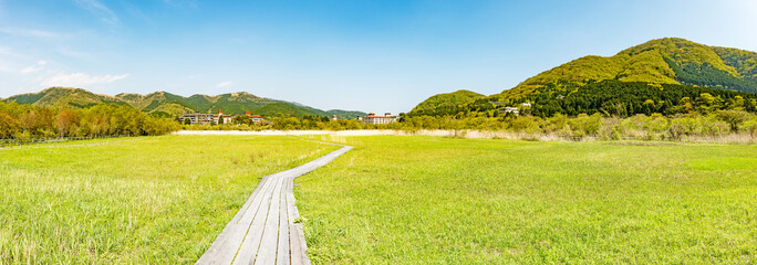 Marshy Land at Sengokuhara in Hakone, Japan. It is located in the northern part of the Hakone...