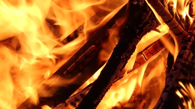 Closeup of wood burning in a bonfire