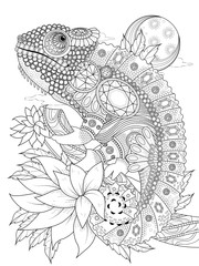 chameleonb adult coloring page