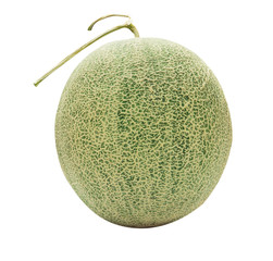 melon isolated on white