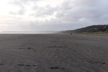 Pasific Beach state park in washington