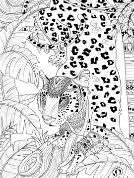 jungle leopard coloring page