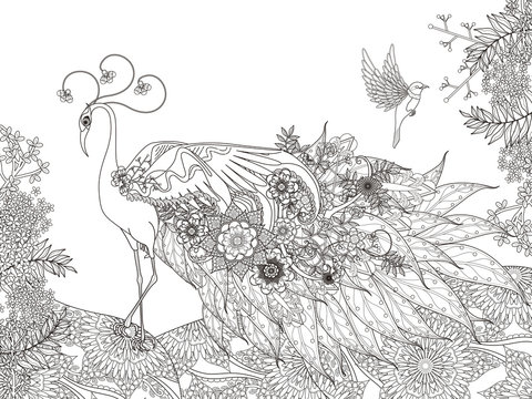 Floral Feather Peacock Coloring Page