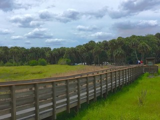 Fototapeta na wymiar Wooden footpath over swamp