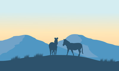 Fototapeta na wymiar Two zebra silhouette on the mountain