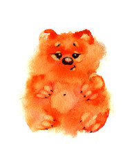 Watercolor sweet orange bears