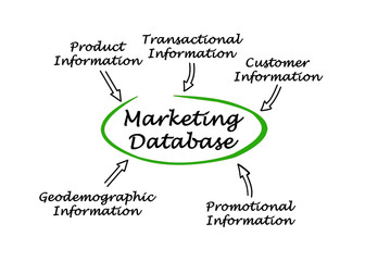 Fototapeta premium Diagram of Marketing Database