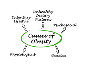 Causes of Obesity