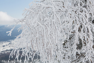 Beautiful winter landscape.