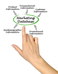 Diagram of Marketing Database