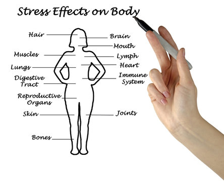 Stress Effects on Body