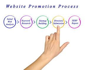 Diagram of Website Promotion Process