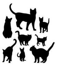 Cat Vector, art vector silhouettes