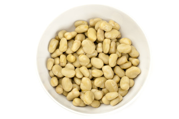 white beans in bowl.