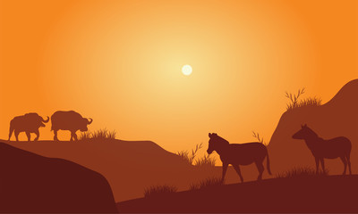 Silhouette of bison in hills