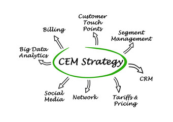 Fototapeta premium Diagram of CEM Strategy